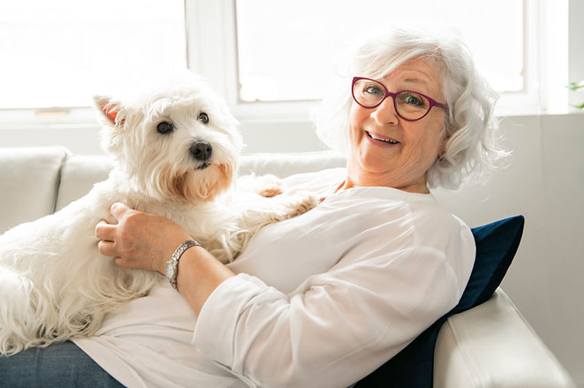 How To Take Care Of Your Pet In Senior Living | Mariposa